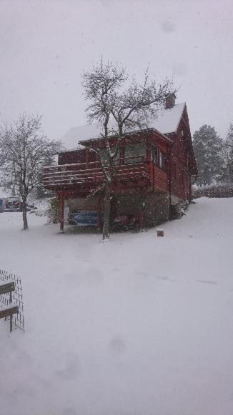 Chata S Bazenem Bozkov Villa Bozkovska Buitenkant foto