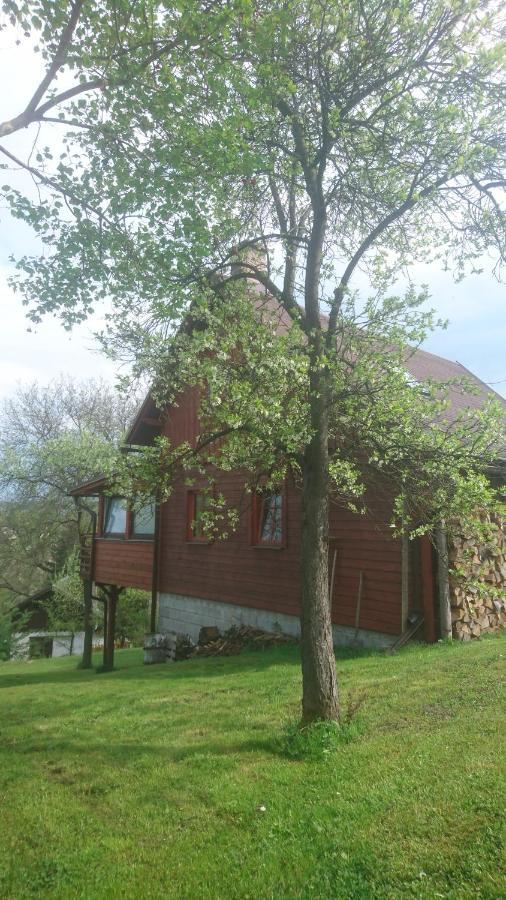 Chata S Bazenem Bozkov Villa Bozkovska Buitenkant foto